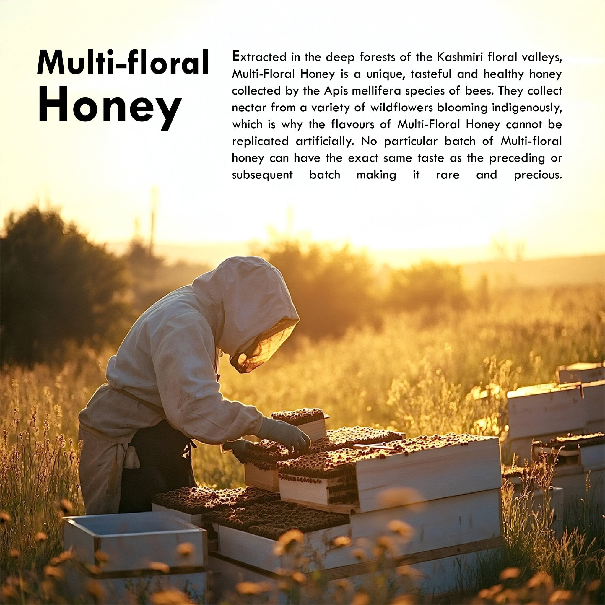 Sublime Inspiring Awe Multi Floral Honey | Grocsy
