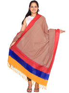 Multicolor Pochampally or Ikat Cotton Handloom Dupatta - Global Threads | Grocsy