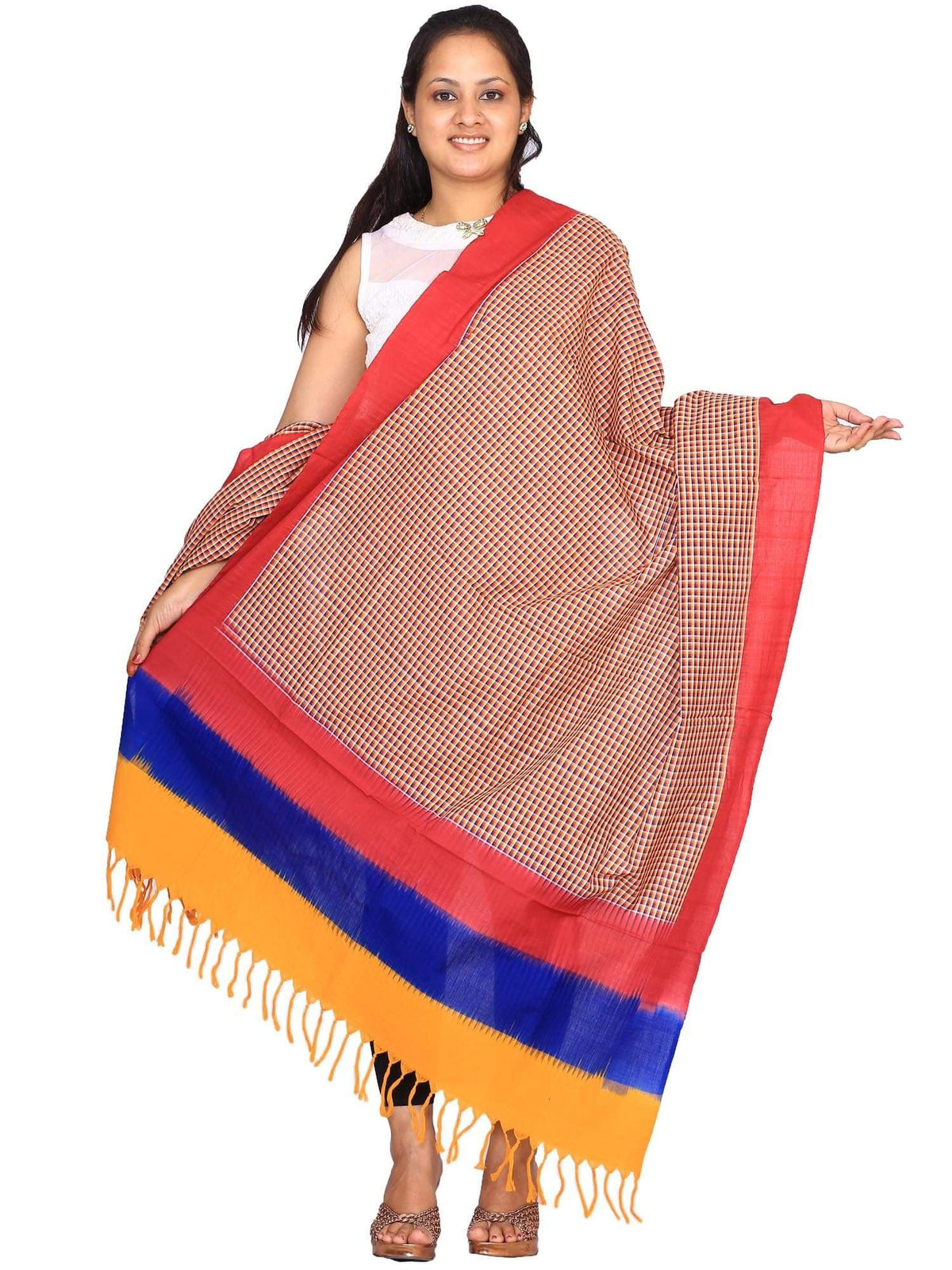 Multicolor Pochampally or Ikat Cotton Handloom Dupatta - Global Threads | Grocsy