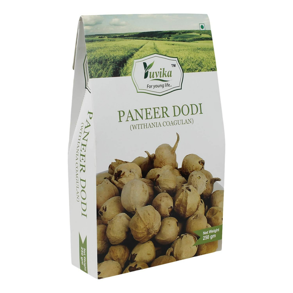 Yuvika Paneer DODI - Paneer Ke Phool - Withania Coagulan | Grocsy