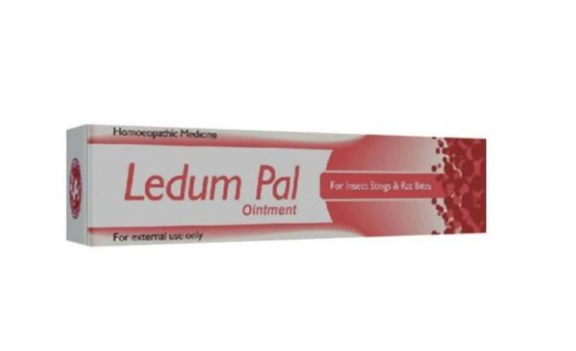 St. George's Homeopathy Ledum Pal Ointment | Grocsy
