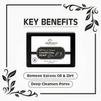 Earth Science Ayurveda Activated Charcoal Bath Soap | Grocsy