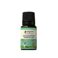 Pilgrim Spanish Rosemary Essential Oil For Hair Growth, Hair Fall Control & Hair Strengthening | Grocsy