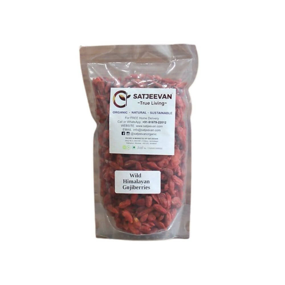 Satjeevan Wild Himalayan Gojiberries | Grocsy