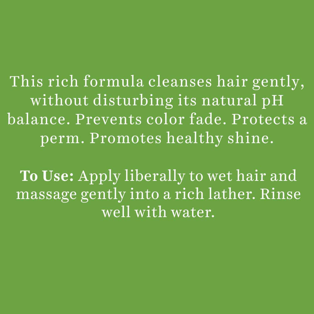 Biotique Advanced Ayurveda Bio Soya Protein Fresh Nourishing Shampoo | Grocsy