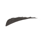 Too Faced Brow Wig - Soft Black | Grocsy