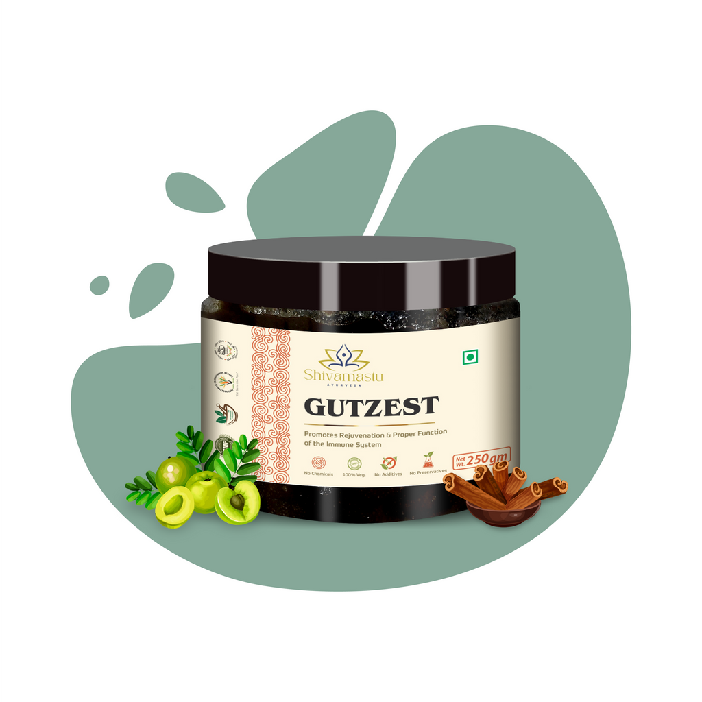Shivamastu Ayurveda Gutzest Chyawanprash | Grocsy