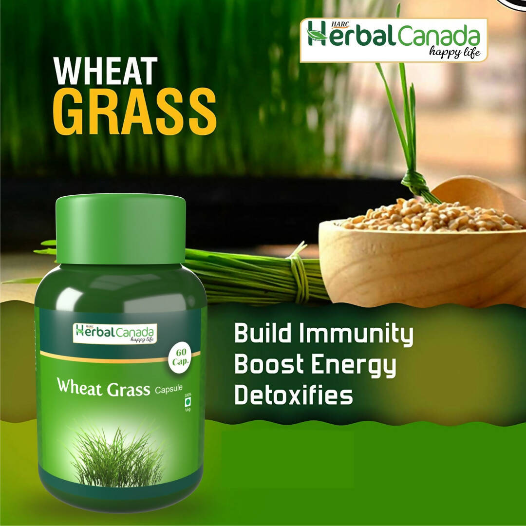 Herbal Canada Wheat Grass Capsules | Grocsy