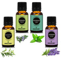 Earth N Pure Essential Oils (Eucalyptus, Rosemary, Lavender & Peppermint) Combo | Grocsy