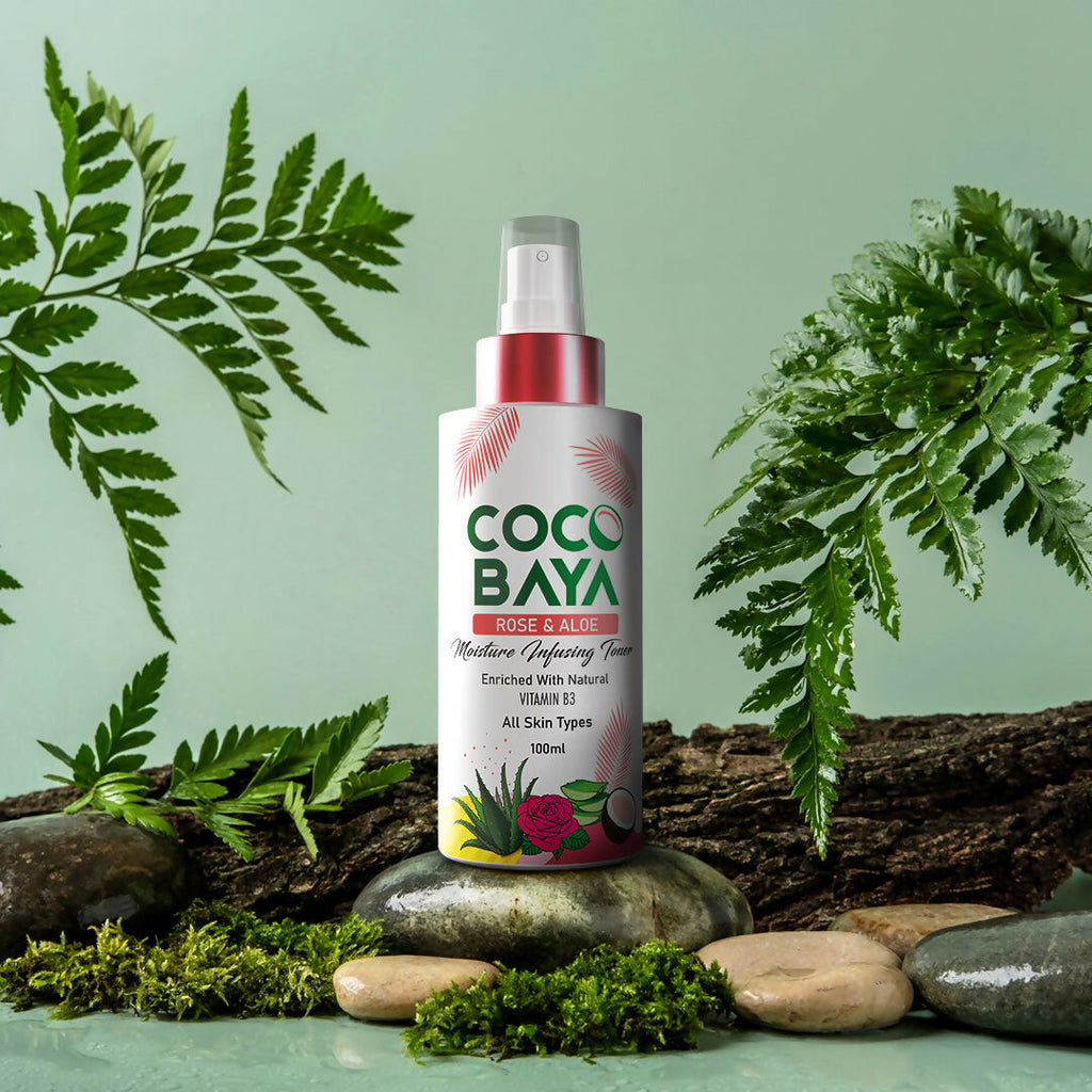 Cocobaya Rose and Aloevera Toner | Grocsy