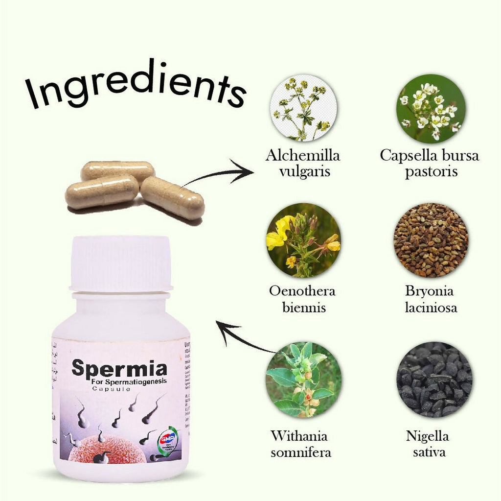 Hashmi Spermia Capsules – May Support Energy Levels, Vitality, and Physical Strength in Men | Grocsy