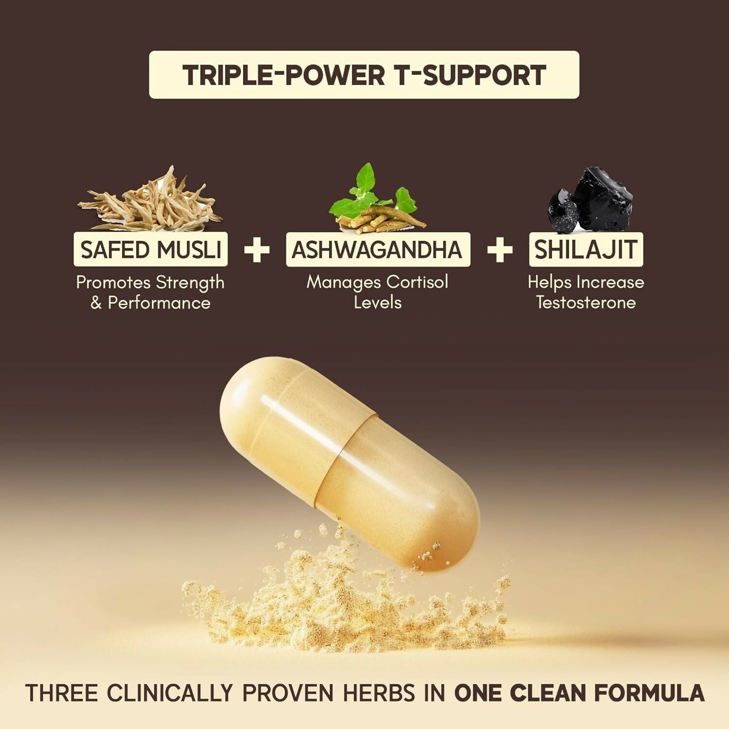 Rasayanam T-Charge Capsules (500mg) 3-in-1 Testosterone Supplement for Men with Sj | Grocsy