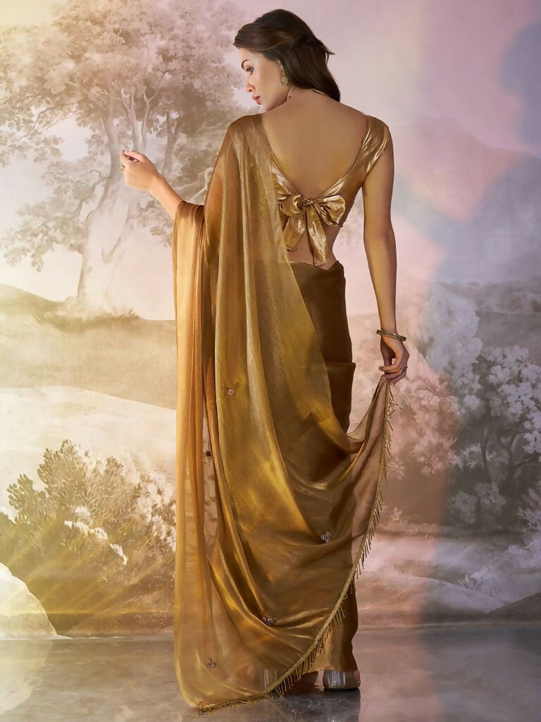 Brown Burberry Organza Solid Fancy Designer Saree - Nafisa | Grocsy