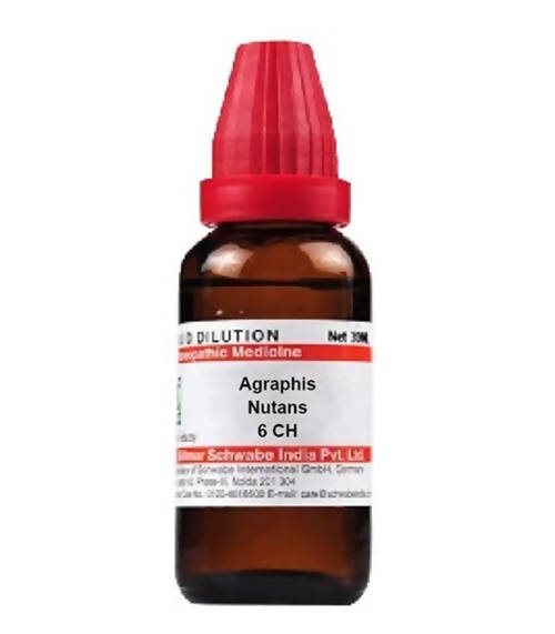 Dr. Willmar Schwabe India Agraphis Nutans Dilution | Grocsy