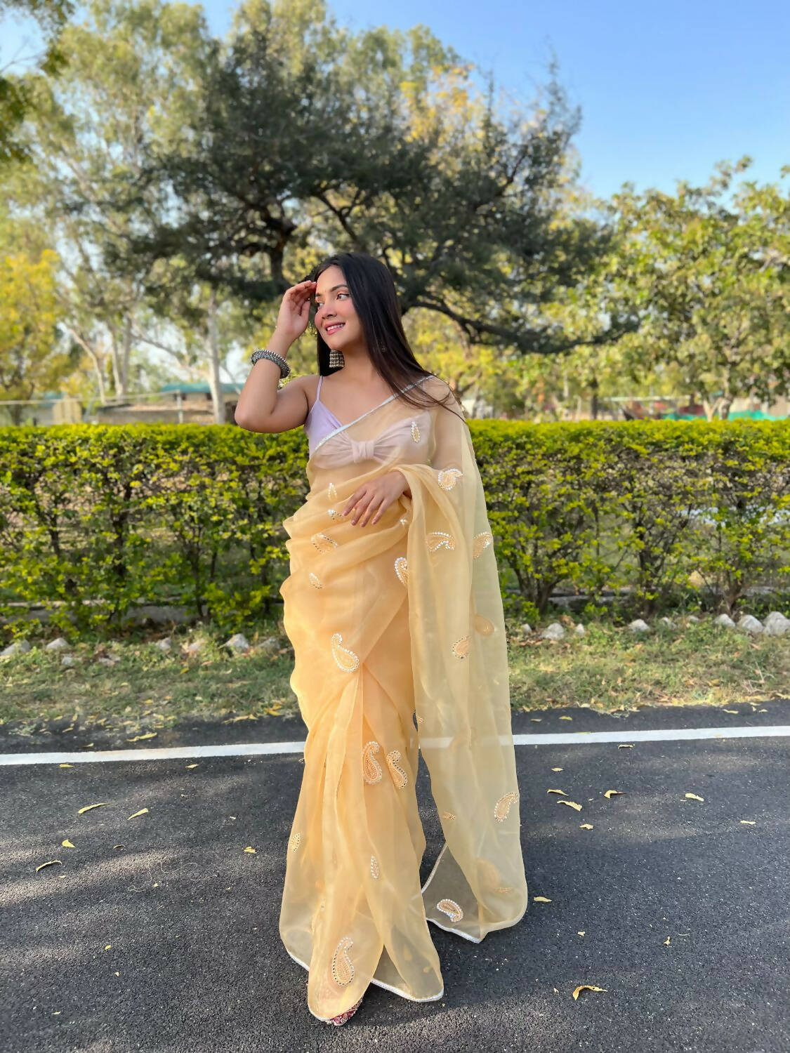 Vamsee Yellow Organza Saree | Grocsy