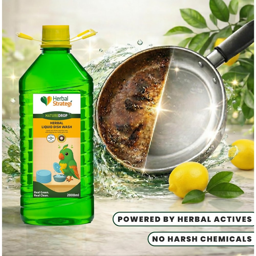 Herbal Strategi Natural Dishwash Liquid | Grocsy