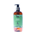 Bipha Ayurveda Brahmi & Amla Shampoo | Grocsy
