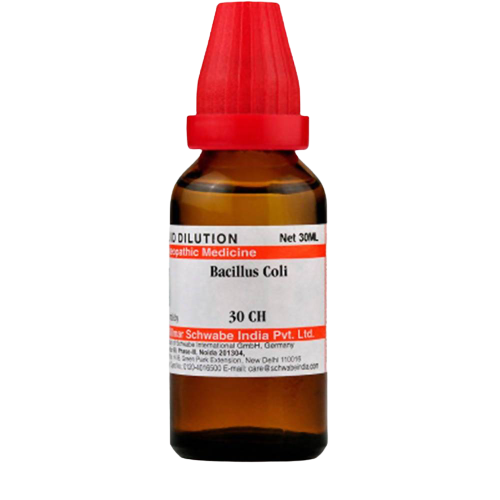 Dr. Willmar Schwabe India Bacillus Coli Dilution | Grocsy