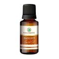 Korus Essential Hazelnut Essential Oil - Therapeutic Grade | Grocsy