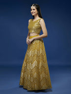 House of Panchhi Mustard Net Sequinse Work Lehenga & Blouse, Dupatta | Grocsy
