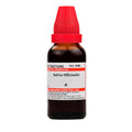 Dr. Willmar Schwabe India Salvia Officinalis Mother tincture Q | Grocsy