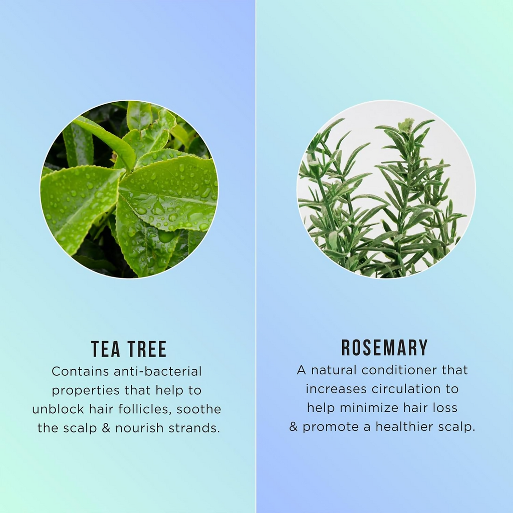 HASK Tea Tree Oil & Rosemary Invigorating Conditioner | Grocsy