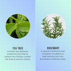 HASK Tea Tree Oil & Rosemary Invigorating Conditioner | Grocsy