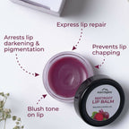 Aravi Organic Beetroot Lip Balm | Grocsy