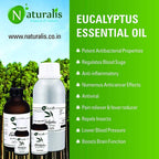 Naturalis Essence of Nature Eucalyptus Essential Oil | Grocsy