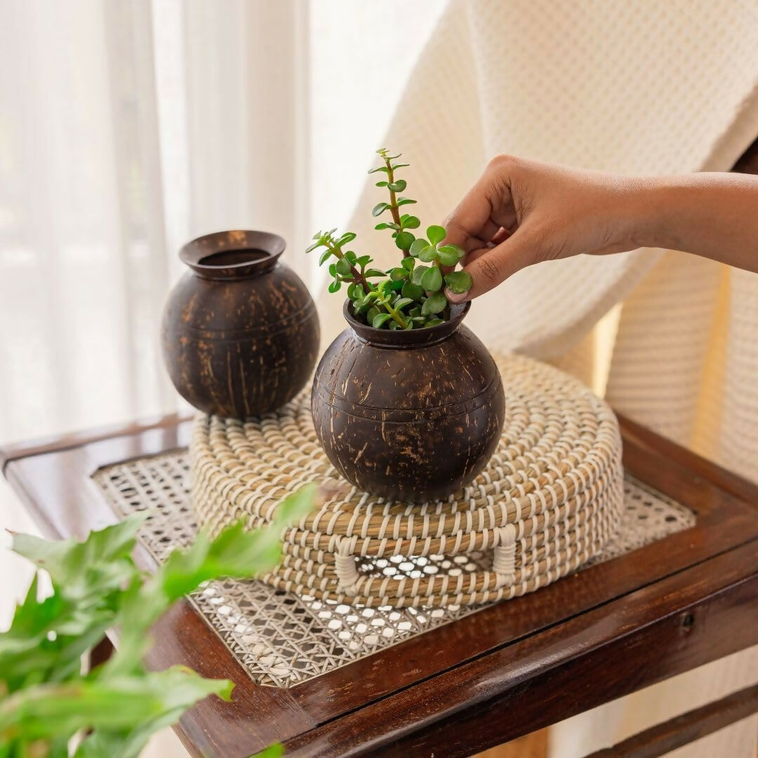 Thenga Handmade Coconut Shell Planter Pot with Cork Tray | Grocsy