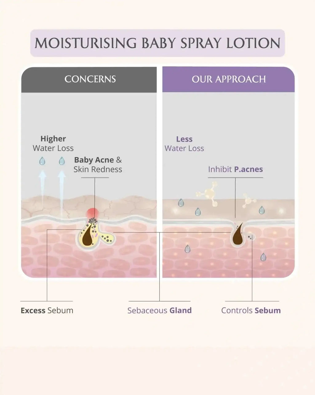 AreoVeda Newborn Bath Ritual | Grocsy