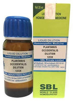 SBL Homeopathy Plantanus Occidentalis Dilution | Grocsy