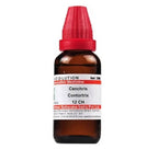 Dr. Willmar Schwabe India Cenchris Contortrix Dilution | Grocsy
