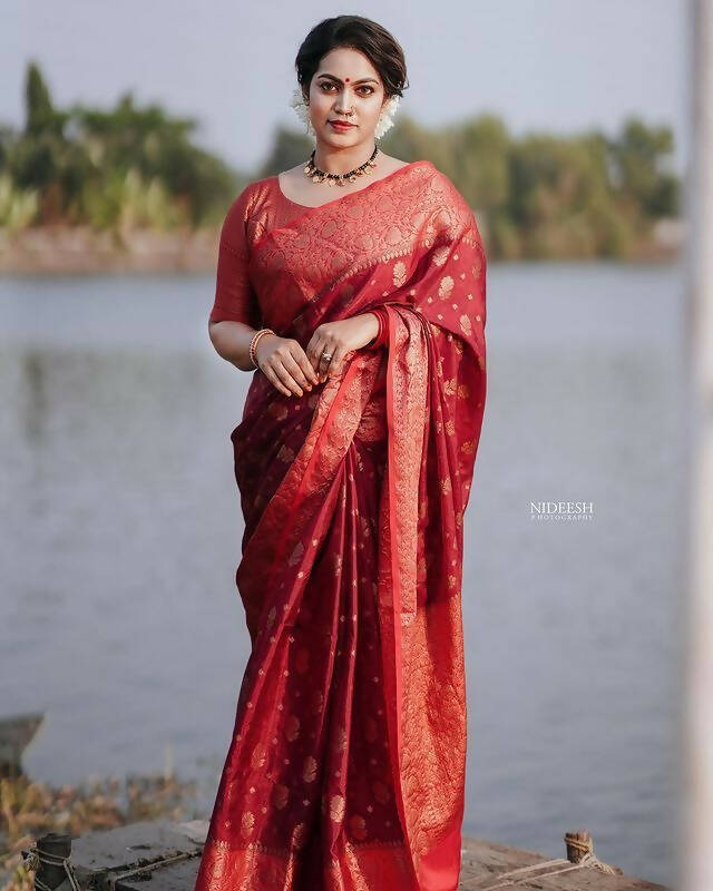 DEIANA'S Beautiful Designer Golden zari Soft Lichi Silk Saree - Maroon | Grocsy