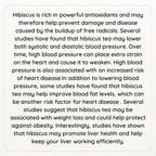 Satvi Wellness Hibiscus Flower Drink | Hibiscus Flower Tea | Hibiscus Tea | Herbal Tea | Grocsy