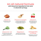 Wellbeing Nutrition Melts Into Multivitamins Oral Strips-Divine Alphonso Mango Flavor | Grocsy