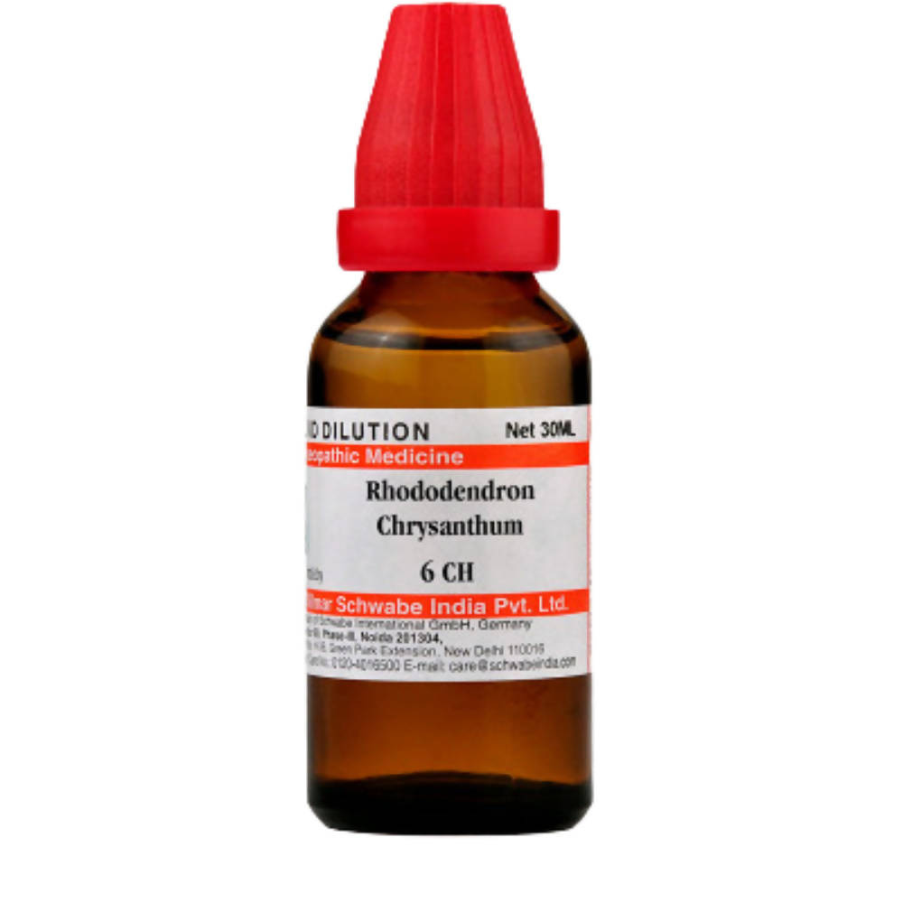Dr. Willmar Schwabe India Rhododendron Chrysanthum Dilution | Grocsy