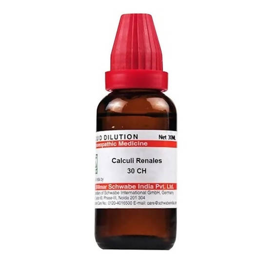 Dr. Willmar Schwabe India Calculi Renales Dilution | Grocsy
