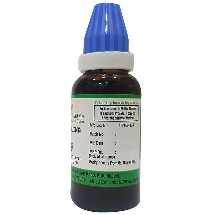 Hering Pharma Spirulina Mother Tincture Q | Grocsy