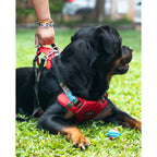 Waggety Adjustable Full Body Dog Harness - Comfortable Fit, Durable Polyester, Red | Grocsy