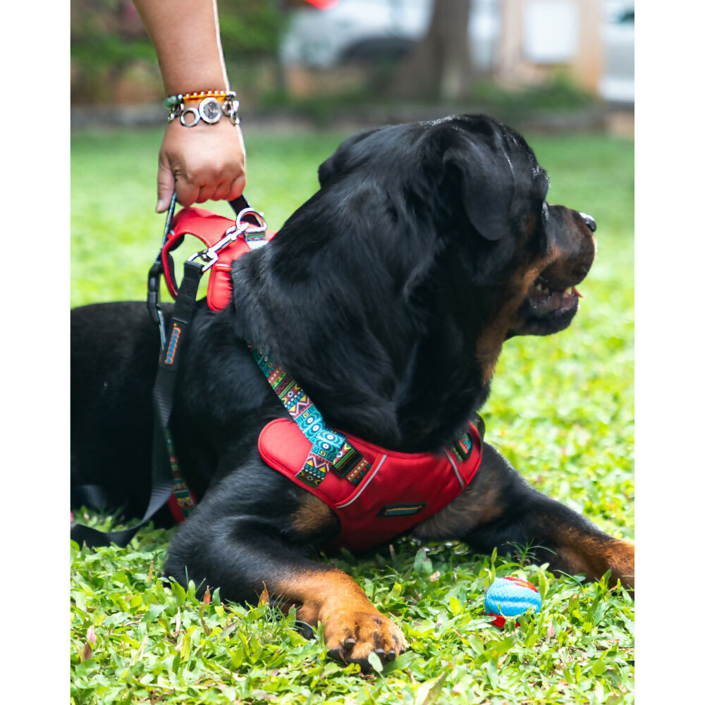 Waggety Adjustable Full Body Dog Harness - Comfortable Fit, Durable Polyester, Red | Grocsy