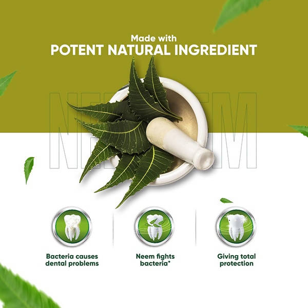 Dabur Herb'l Neem Germ Protection Complete Care Toothpaste | Grocsy