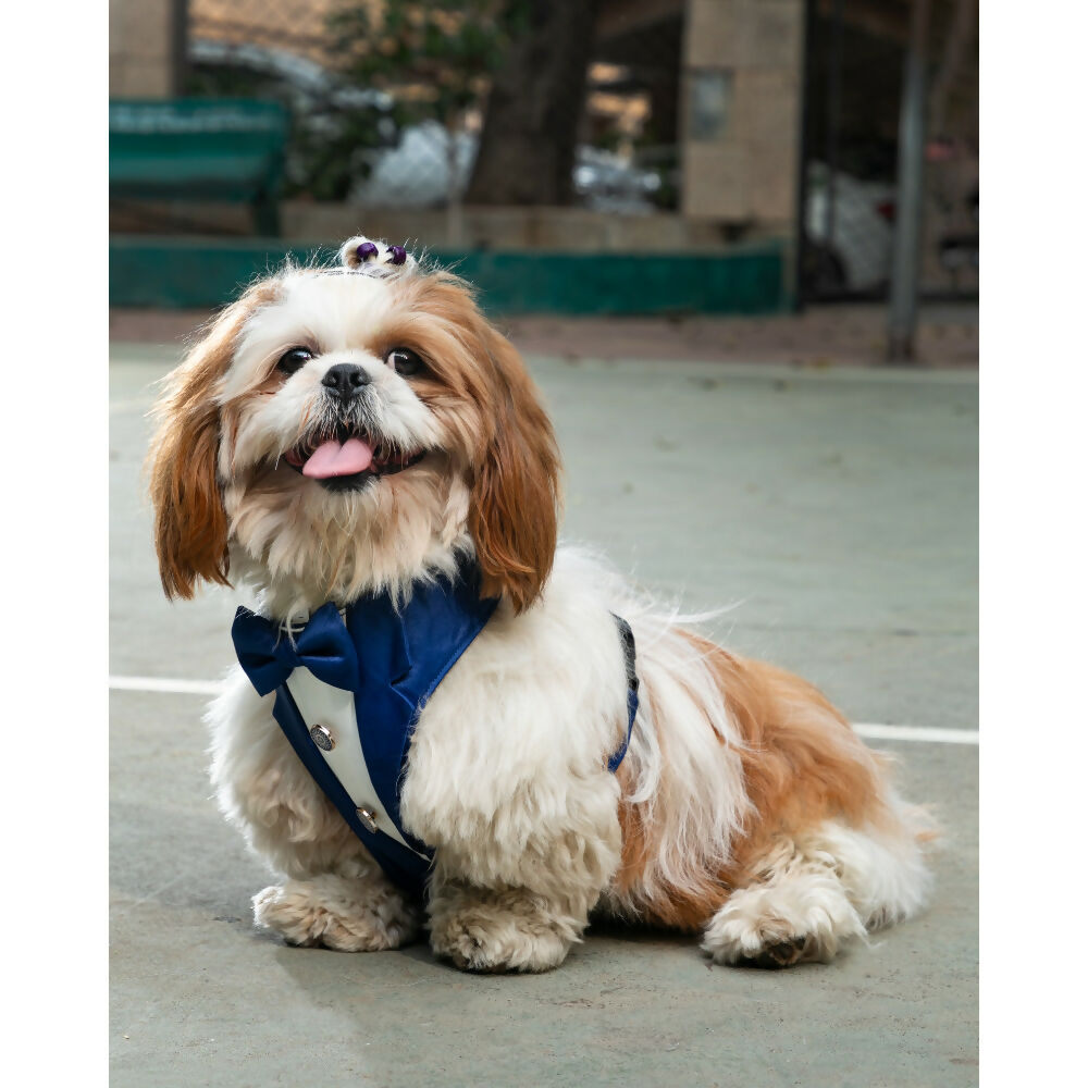 Waggety Tuxedo Dog Harness - Stylish Blue & White Design, Adjustable Fit, Durable Fabric, Elegant Pet Harness for Dogs | Grocsy