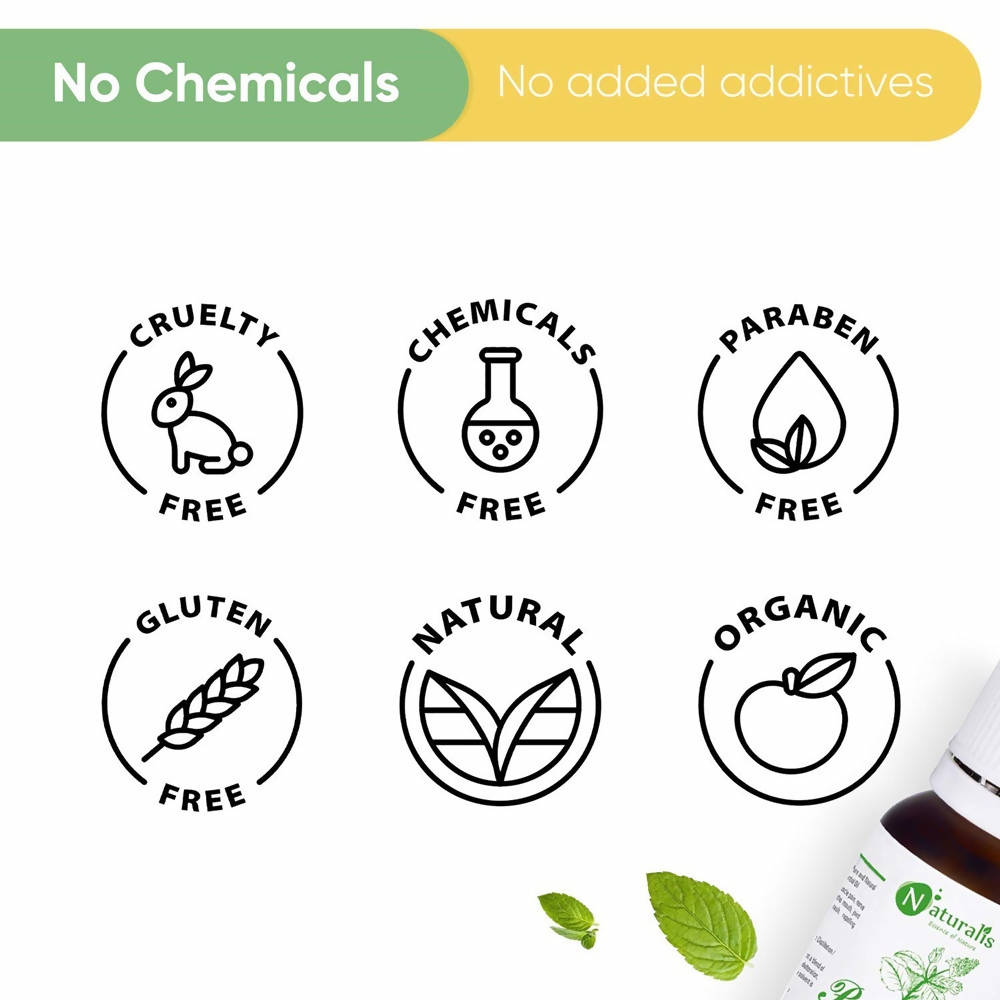 Naturalis Essence of Nature Peppermint Essential Oil | Grocsy