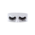 PAC Studio Mink Lash - M81 | Grocsy
