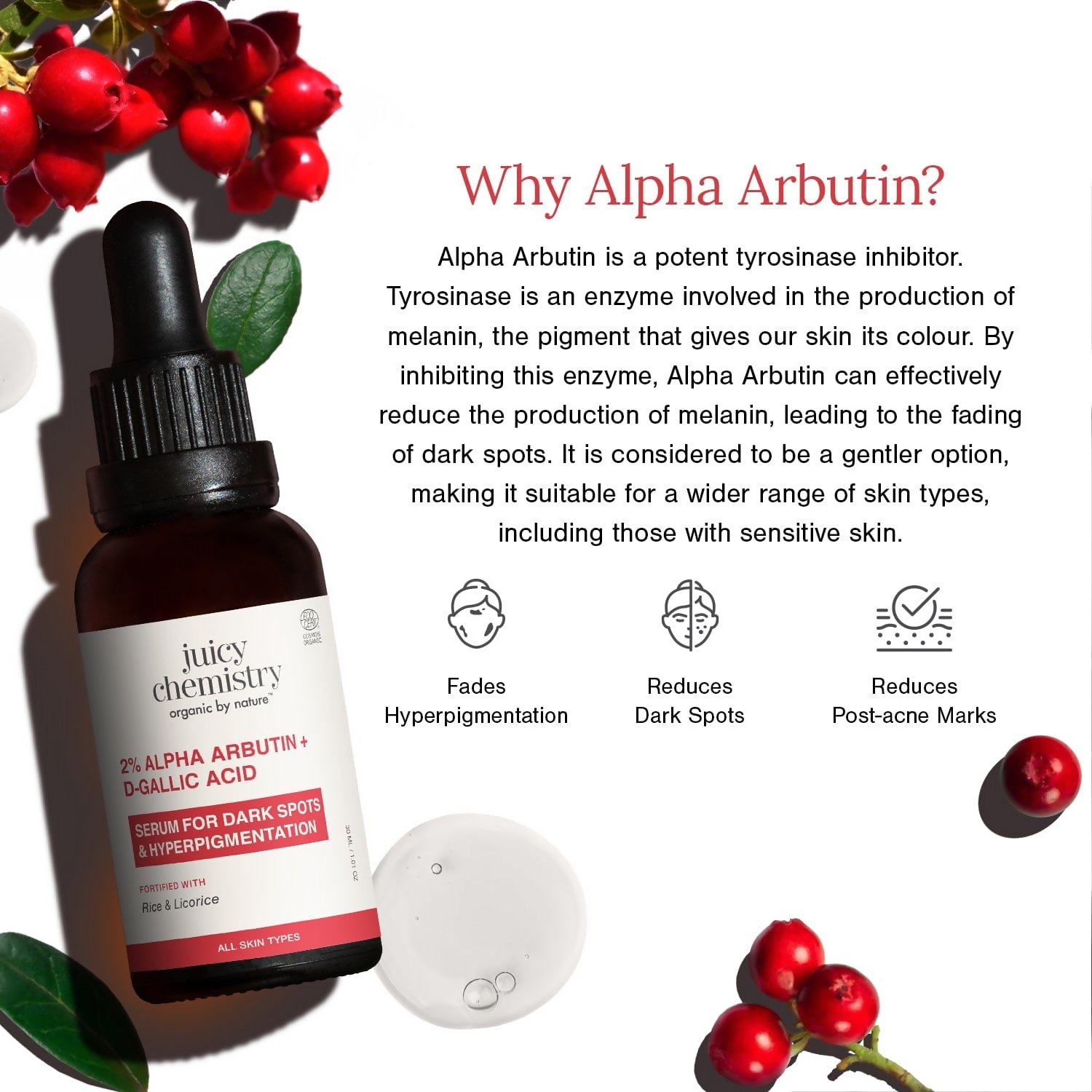 Juicy Chemistry 2% Alpha Arbutin + D-Gallic Acid Face Serum | Grocsy