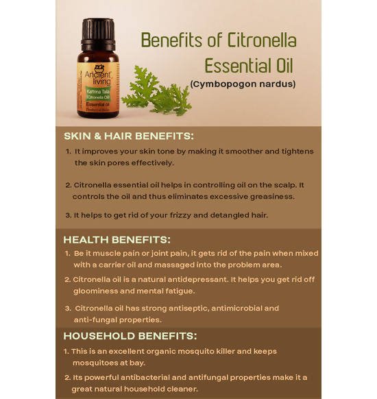 Ancient Living Kattrina Taila (Citronella Oil) Essential Oil | Grocsy