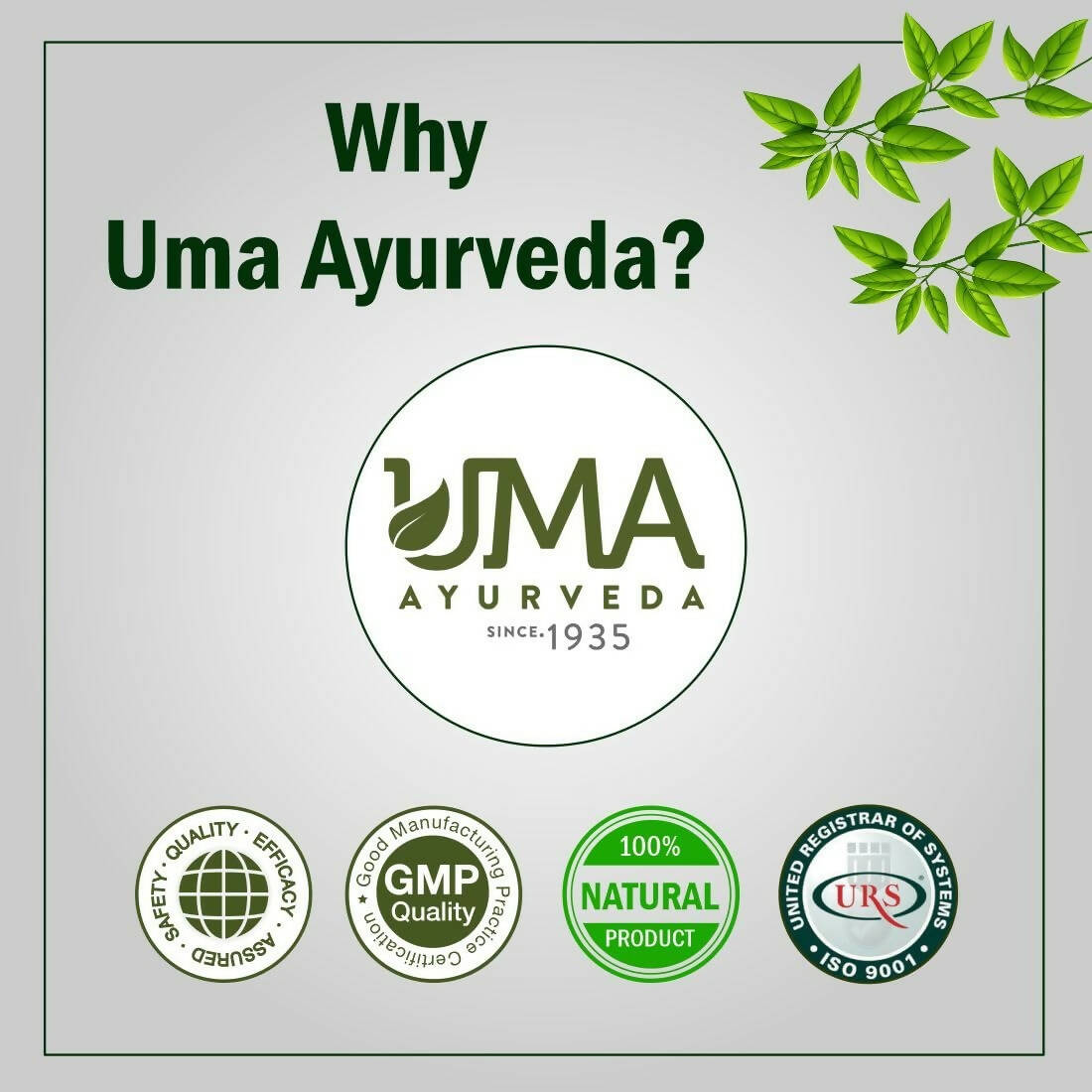 Uma Ayurveda Umacal Tablets | Grocsy