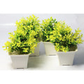 Chahat Decorative Artificial Plant 4 Piece Combo | Grocsy