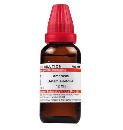 Dr. Willmar Schwabe India Ambrosia Artemisiaefolia Dilution | Grocsy